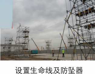 安全防墜器在上海迪士尼樂(lè)園項(xiàng)目中的應(yīng)用